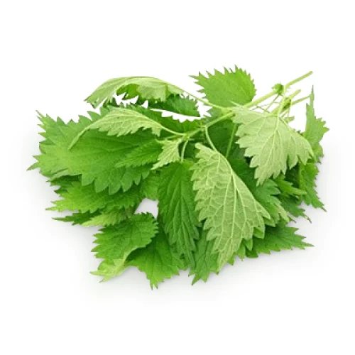 Fresh Vietnamese Balm