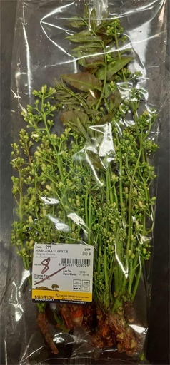 Fresh Neem Flower / Margosa Flower