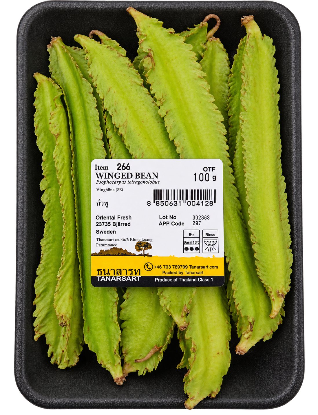 Fresh Thailand Winged Bean