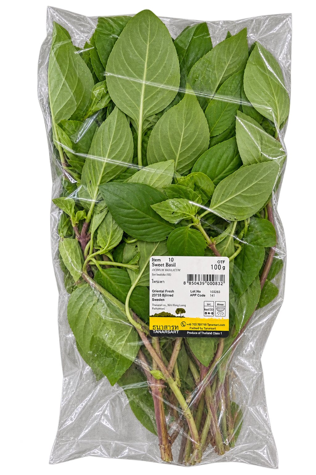 Fresh Thailand Sweet Basil