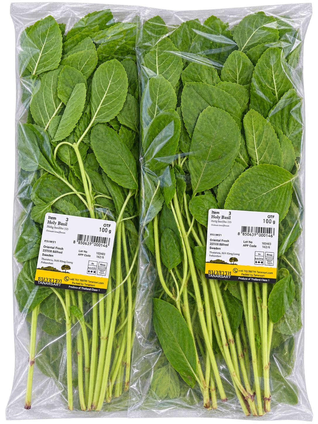 Fresh Thailand Holy Basil