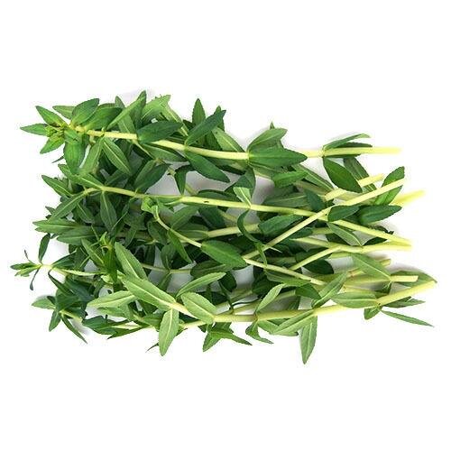 Fresh Thailand Finger Grass
