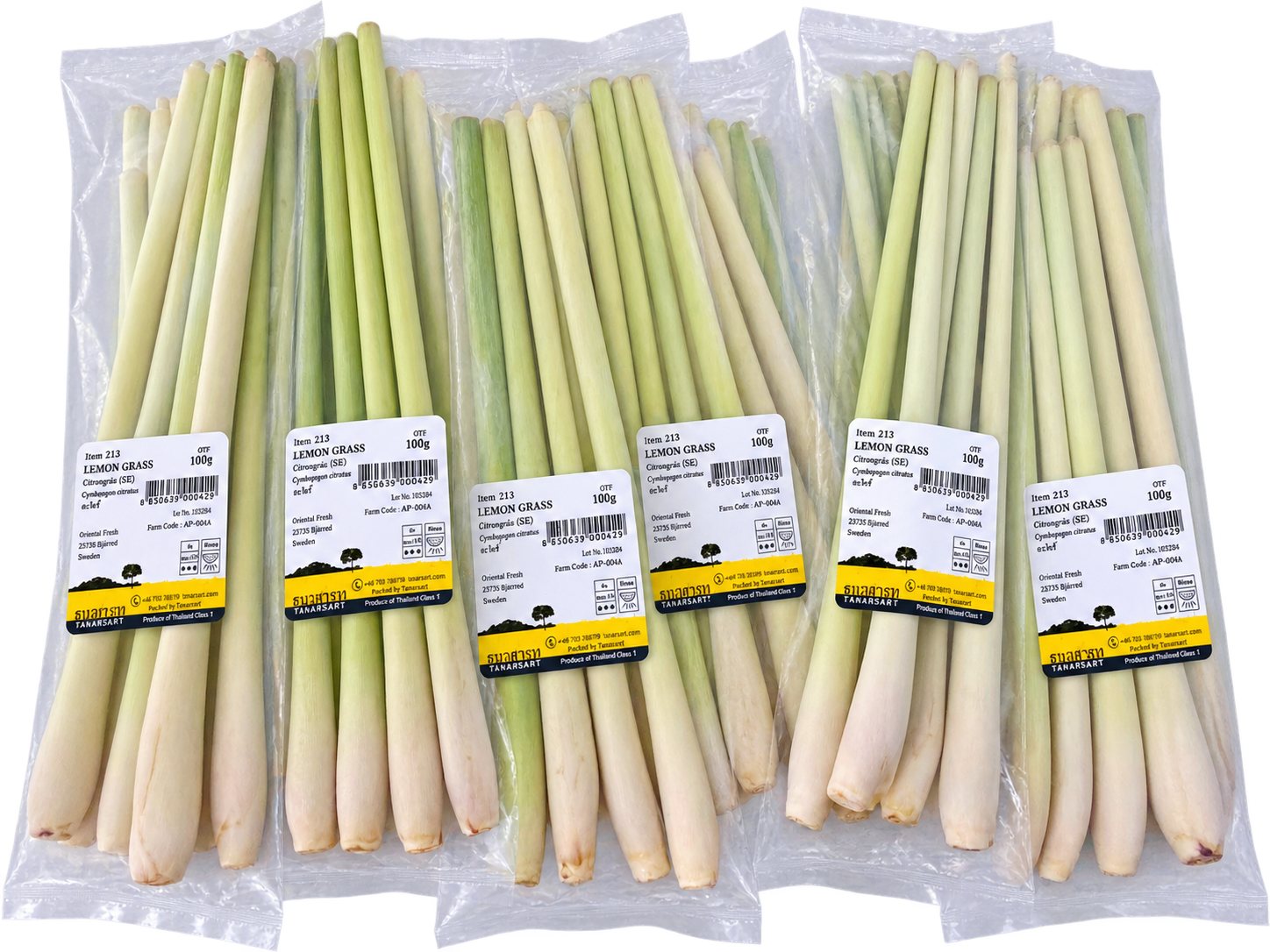 Fresh Thailand Lemongrass
