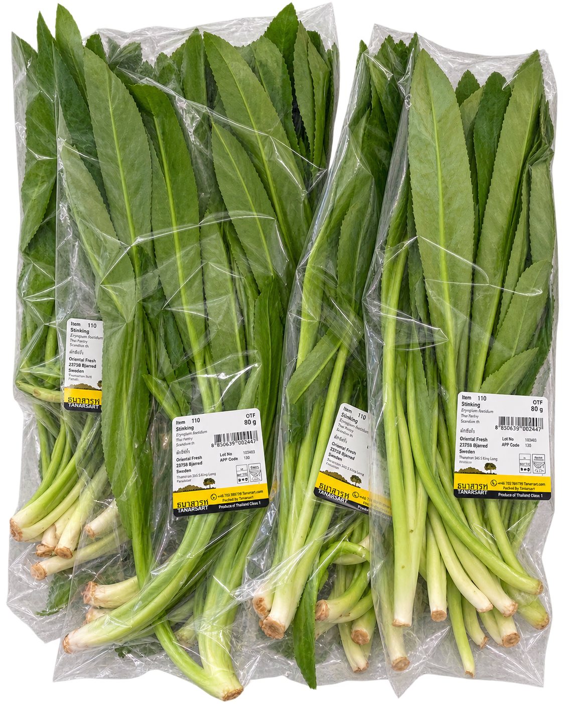 Fresh Thailand Parsley/Stinking