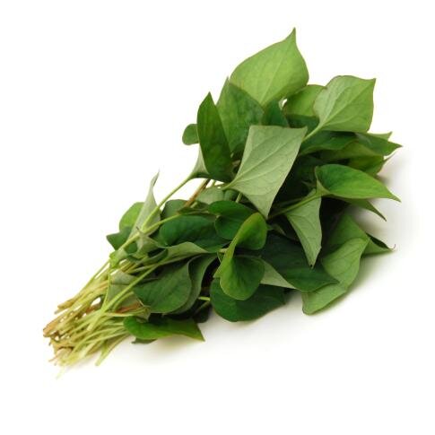 Fresh Thailand Fish Mint/Plu Kaow