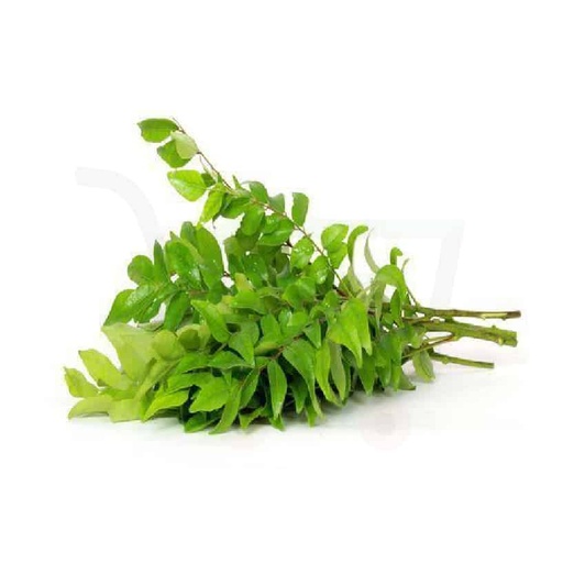 Young Tamarid Leaves