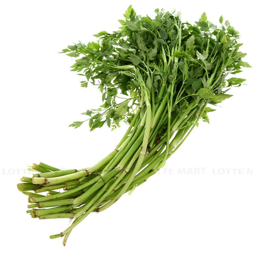 Fresh Thailand Fennel