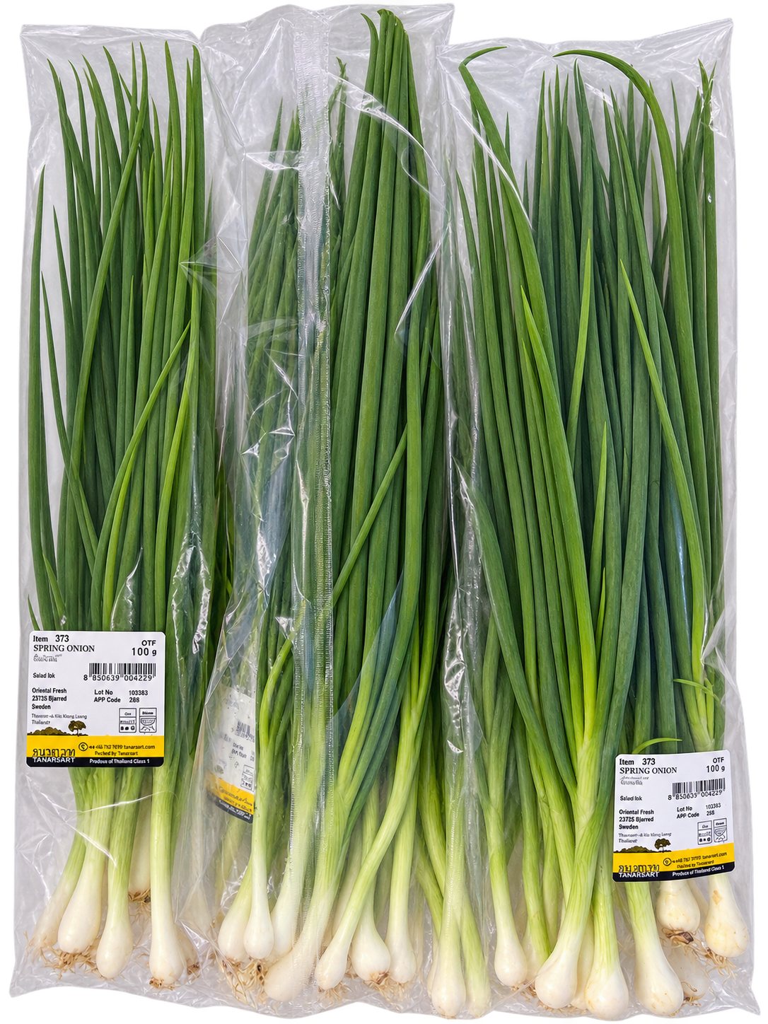 Fresh Thailand Spring Onion