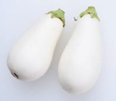 Fresh Thailand White Eggplant