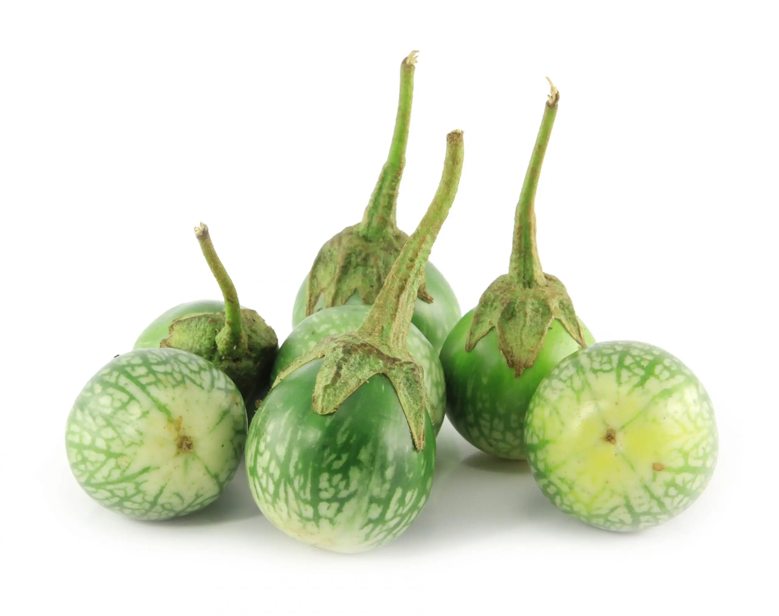 Fresh Thai Round Eggplant