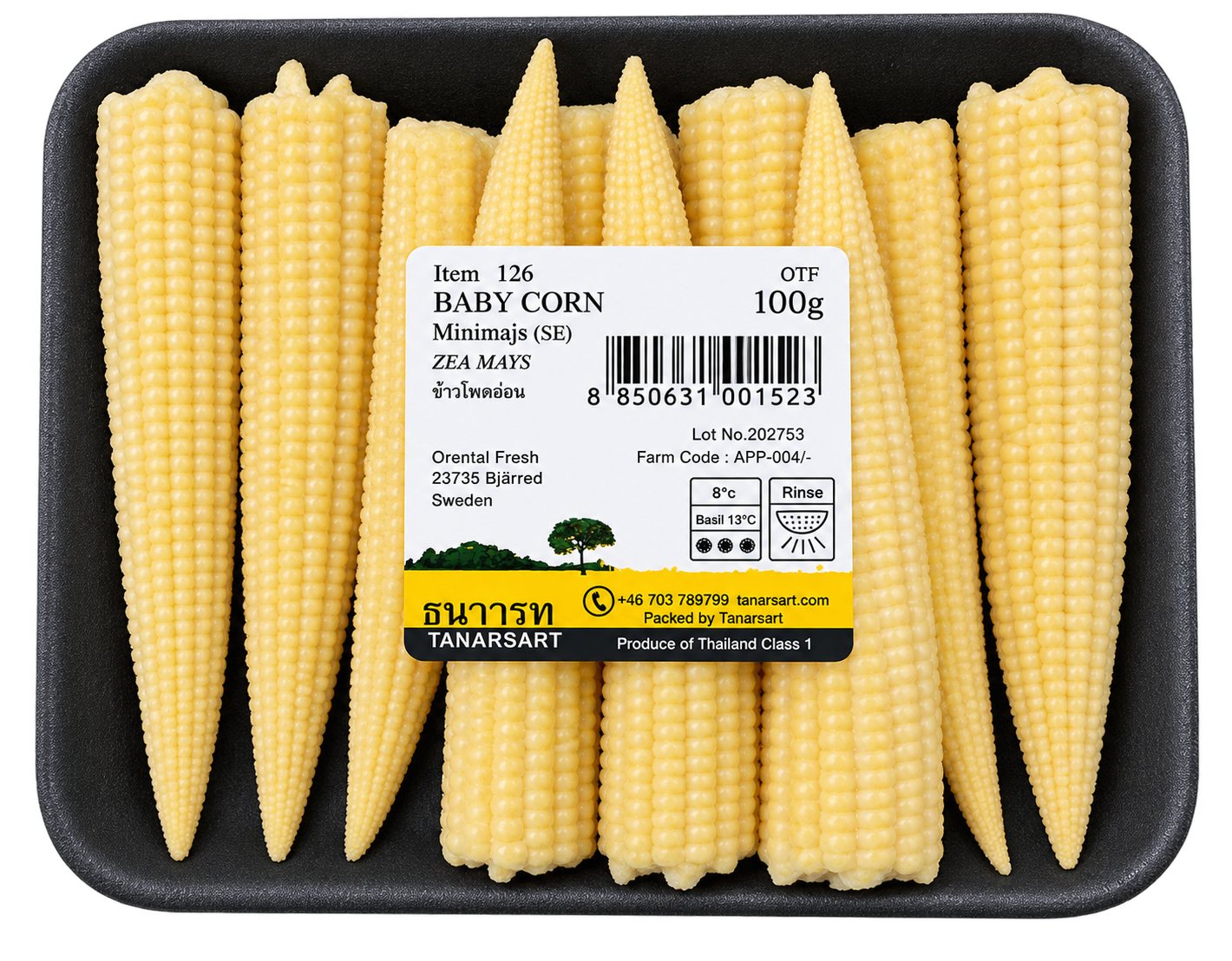 Fresh Thailand Whole Baby Corn